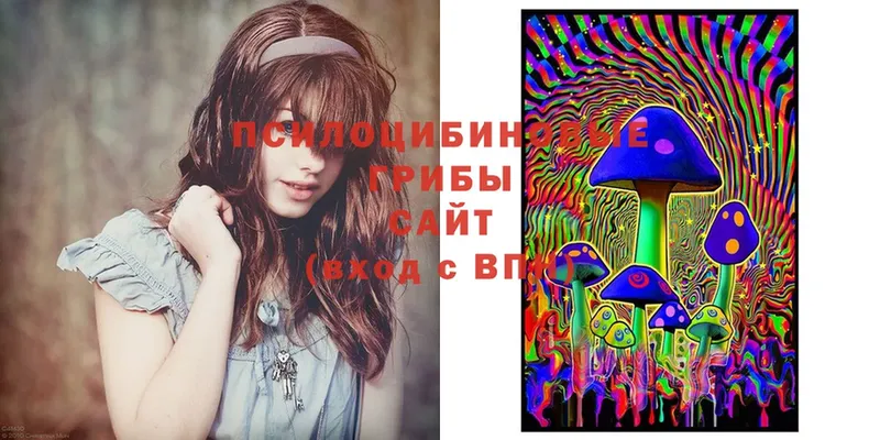 Псилоцибиновые грибы Cubensis Лянтор